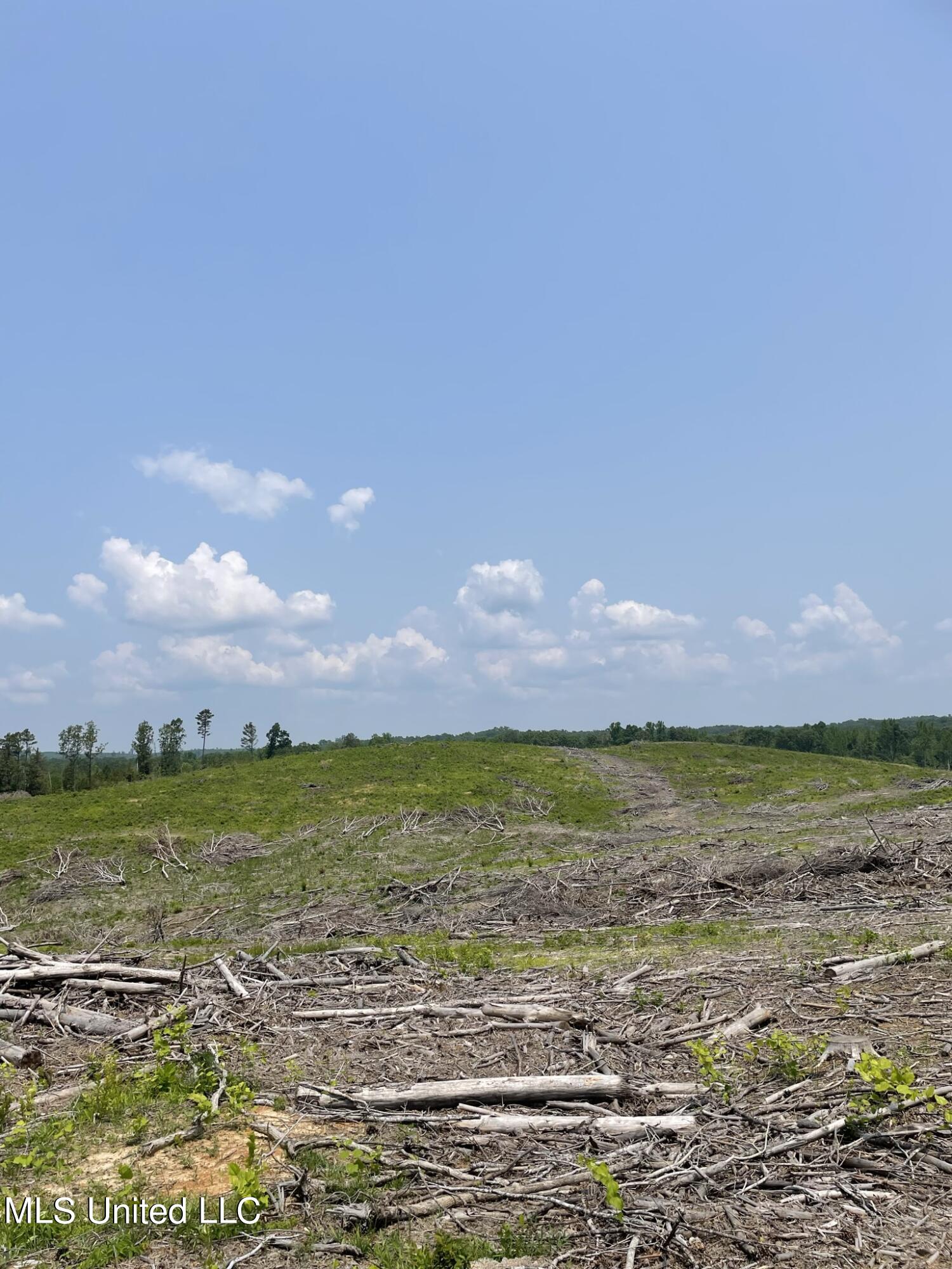 Hendrix/pine Grove Road, Coffeeville, Mississippi image 4