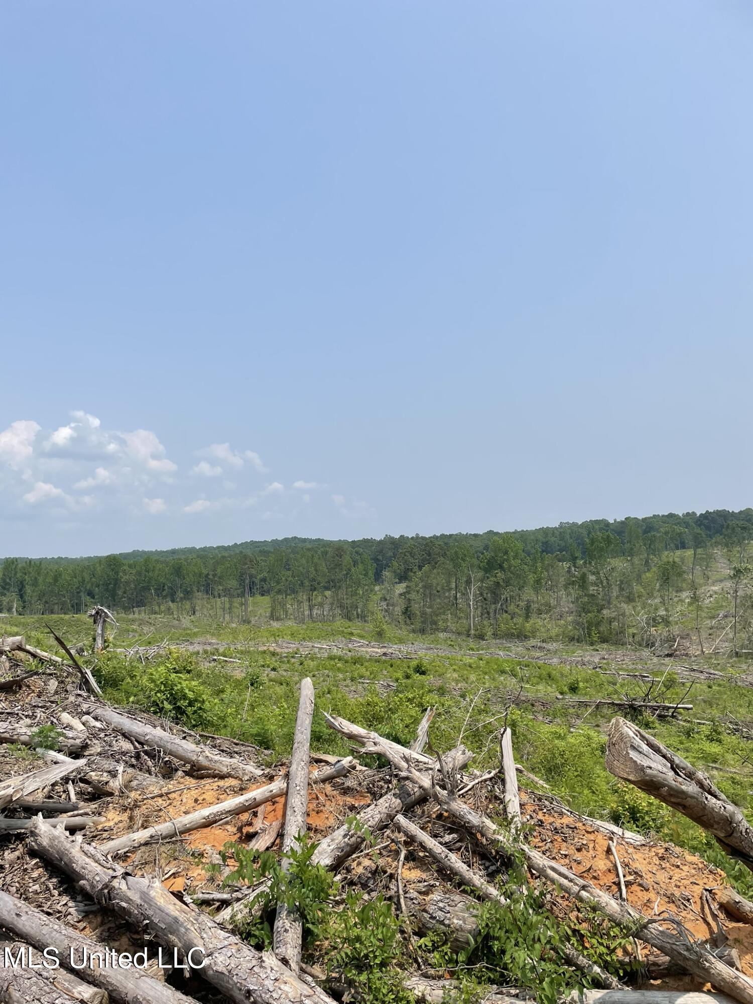 Hendrix/pine Grove Road, Coffeeville, Mississippi image 11