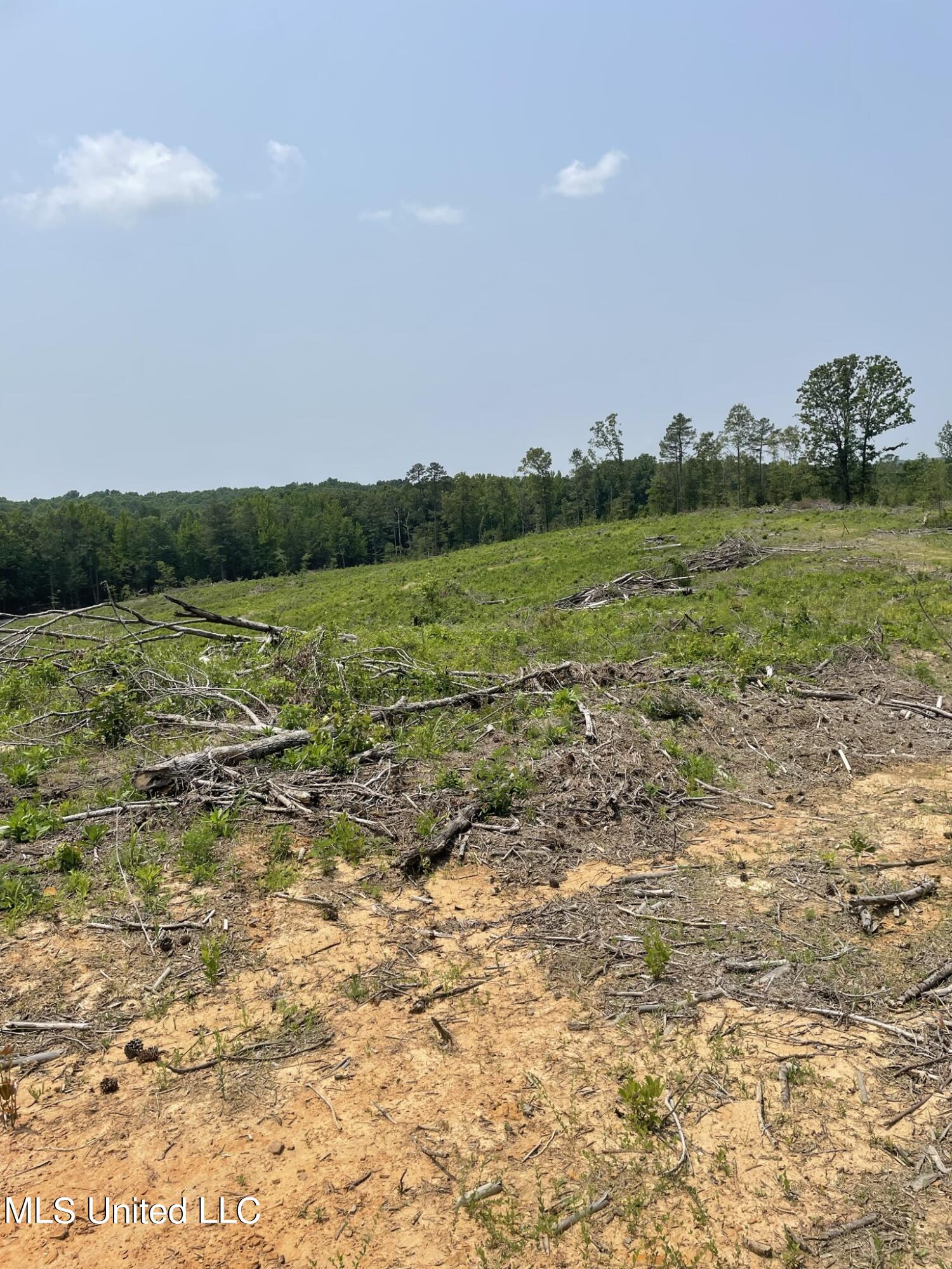 Hendrix/pine Grove Road, Coffeeville, Mississippi image 7