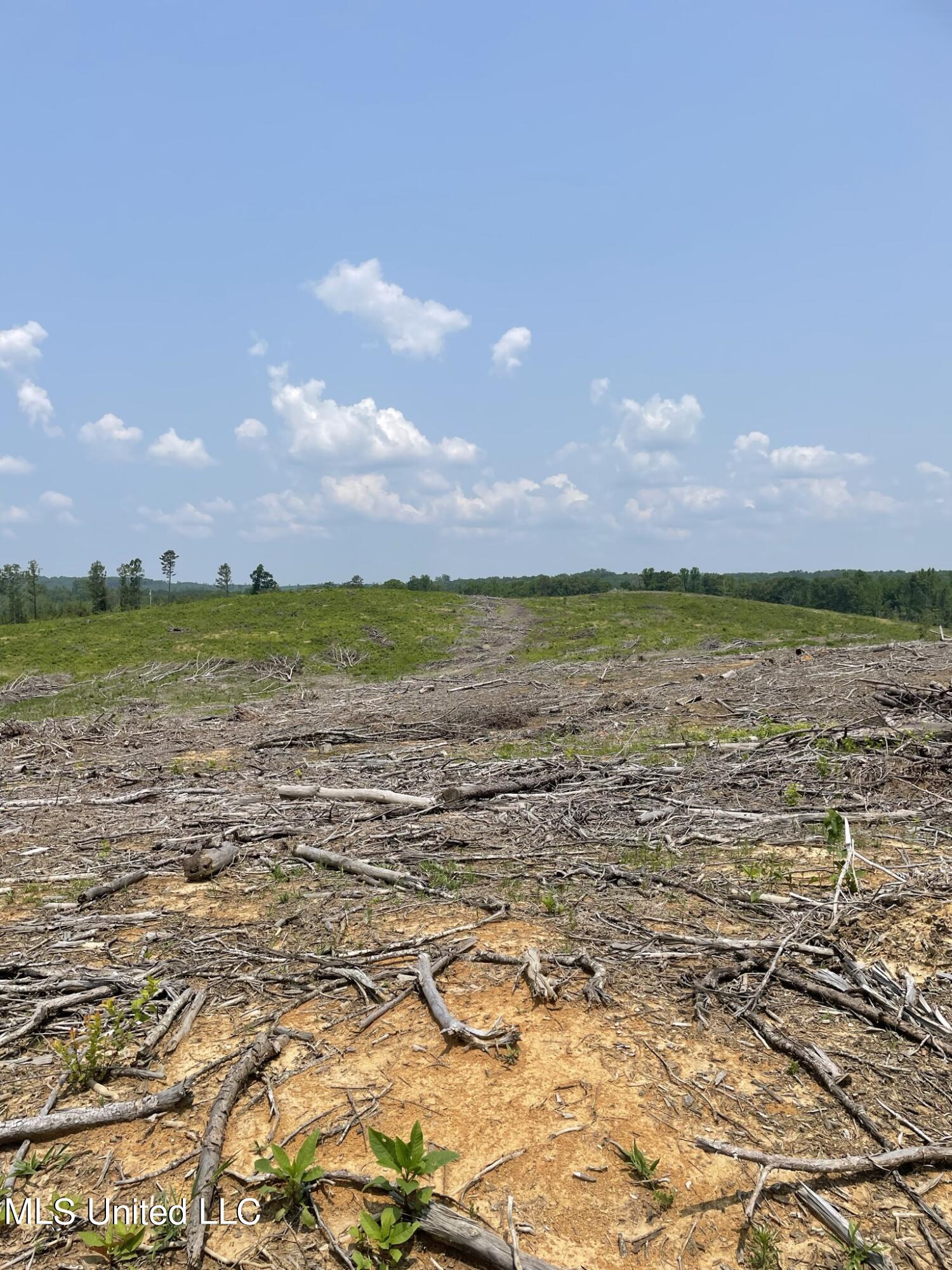 Hendrix/pine Grove Road, Coffeeville, Mississippi image 3