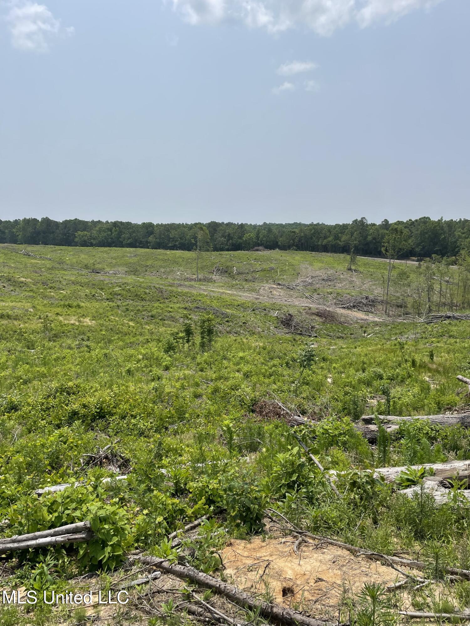 Hendrix/pine Grove Road, Coffeeville, Mississippi image 1