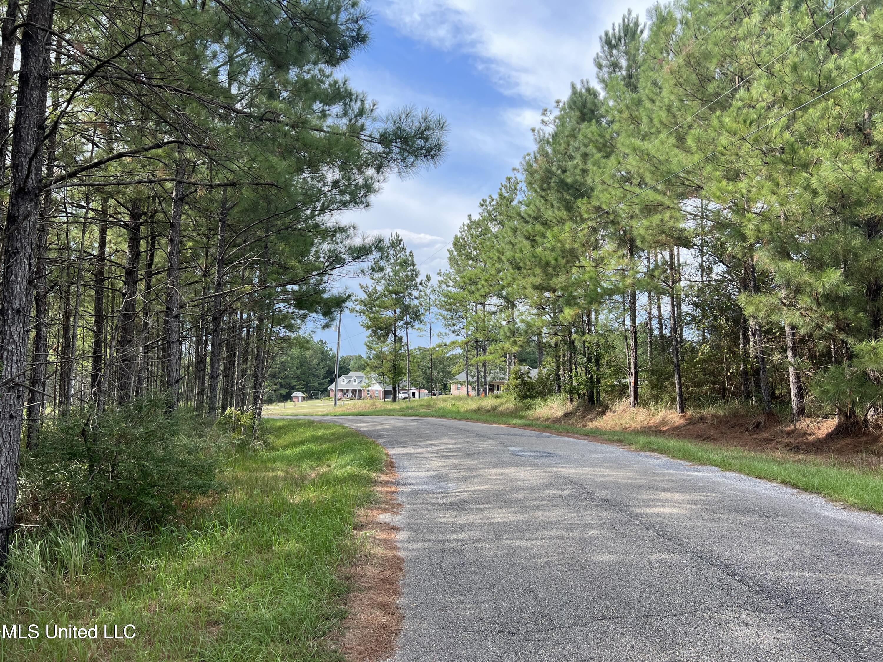 Tbd Presley Drive, Wiggins, Mississippi image 2