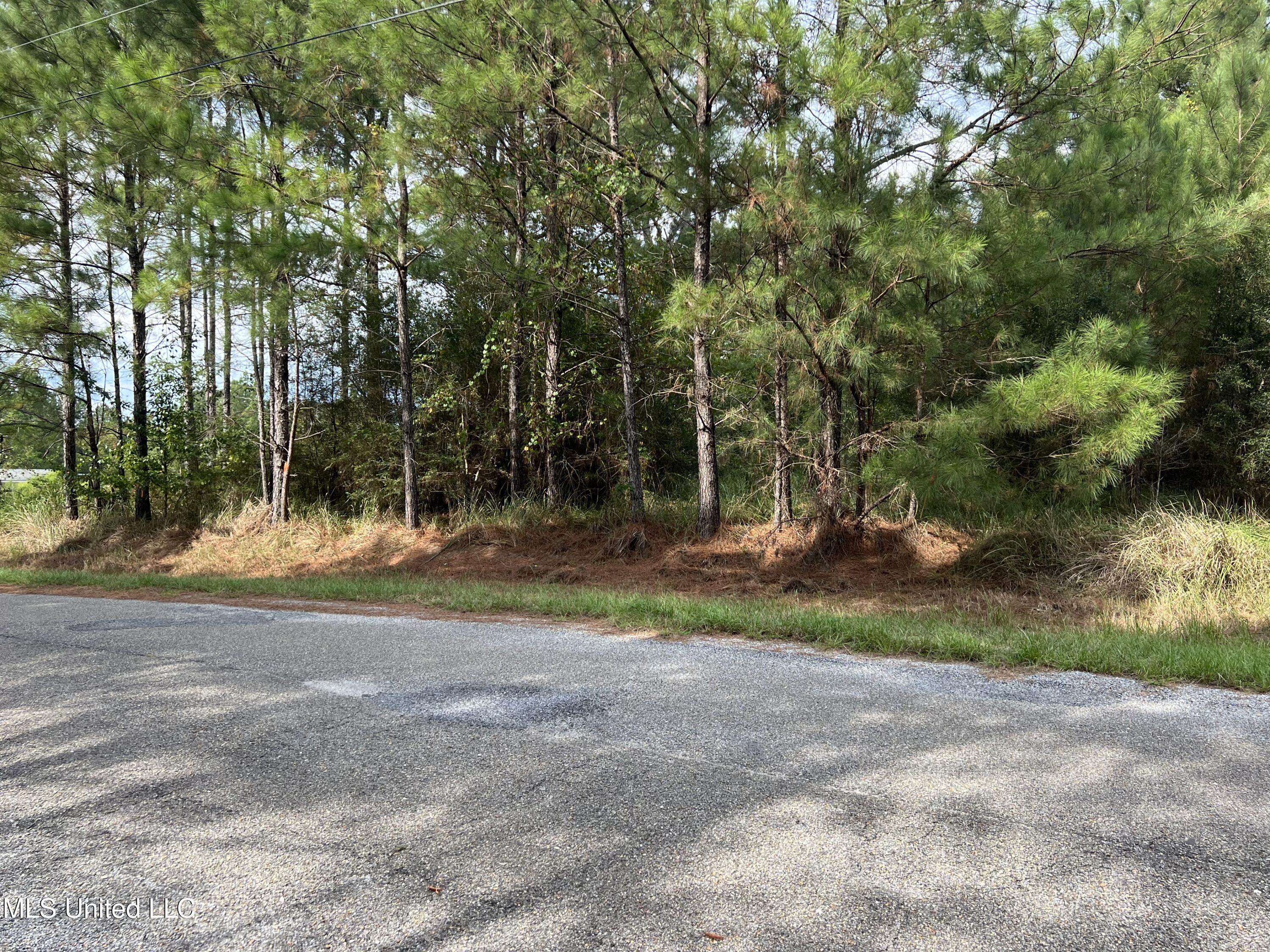 Tbd Presley Drive, Wiggins, Mississippi image 1