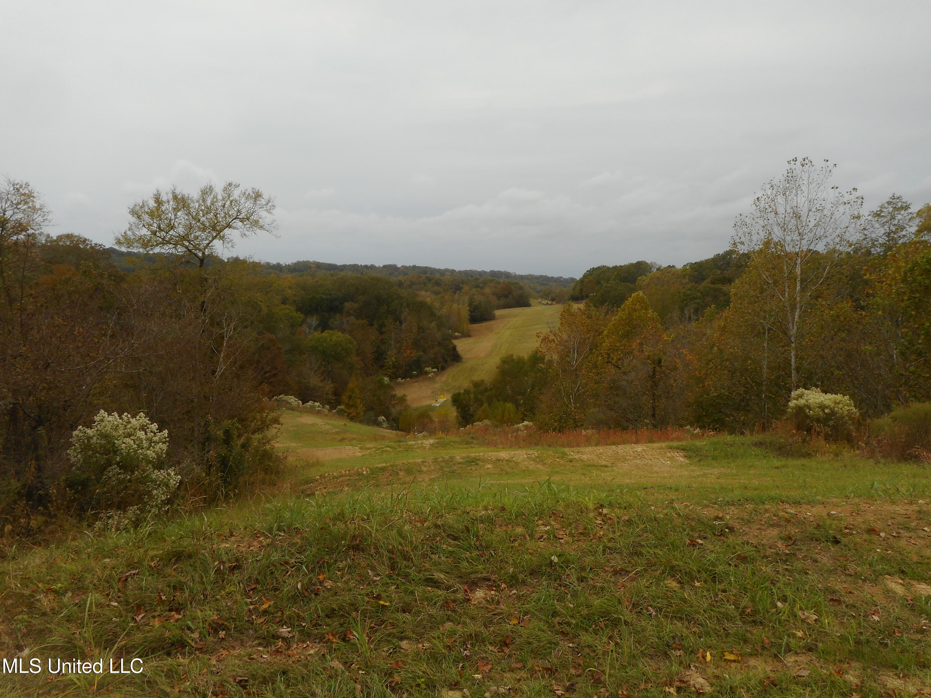 Smith Road, Satartia, Mississippi image 5