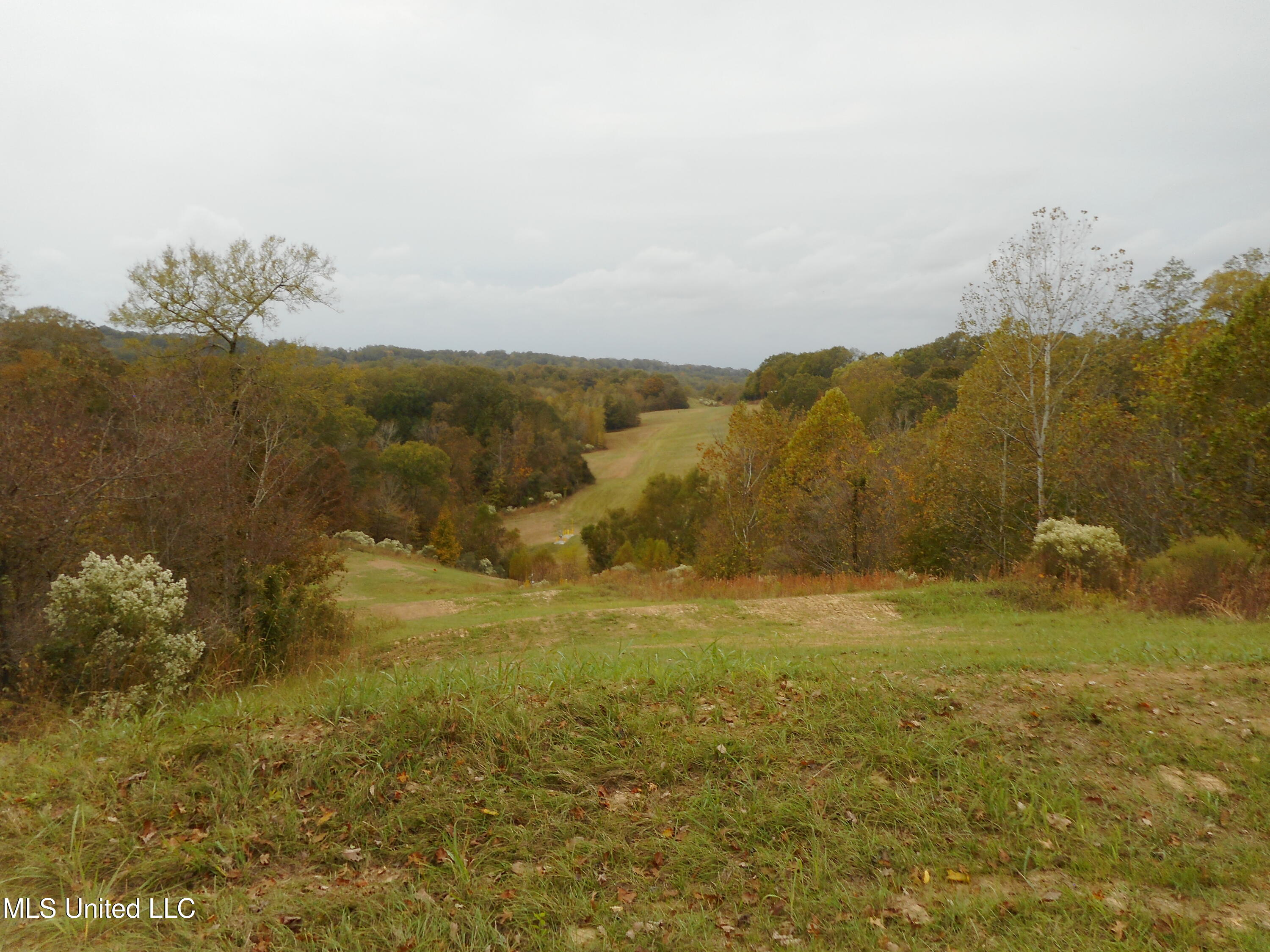 Smith Road, Satartia, Mississippi image 17