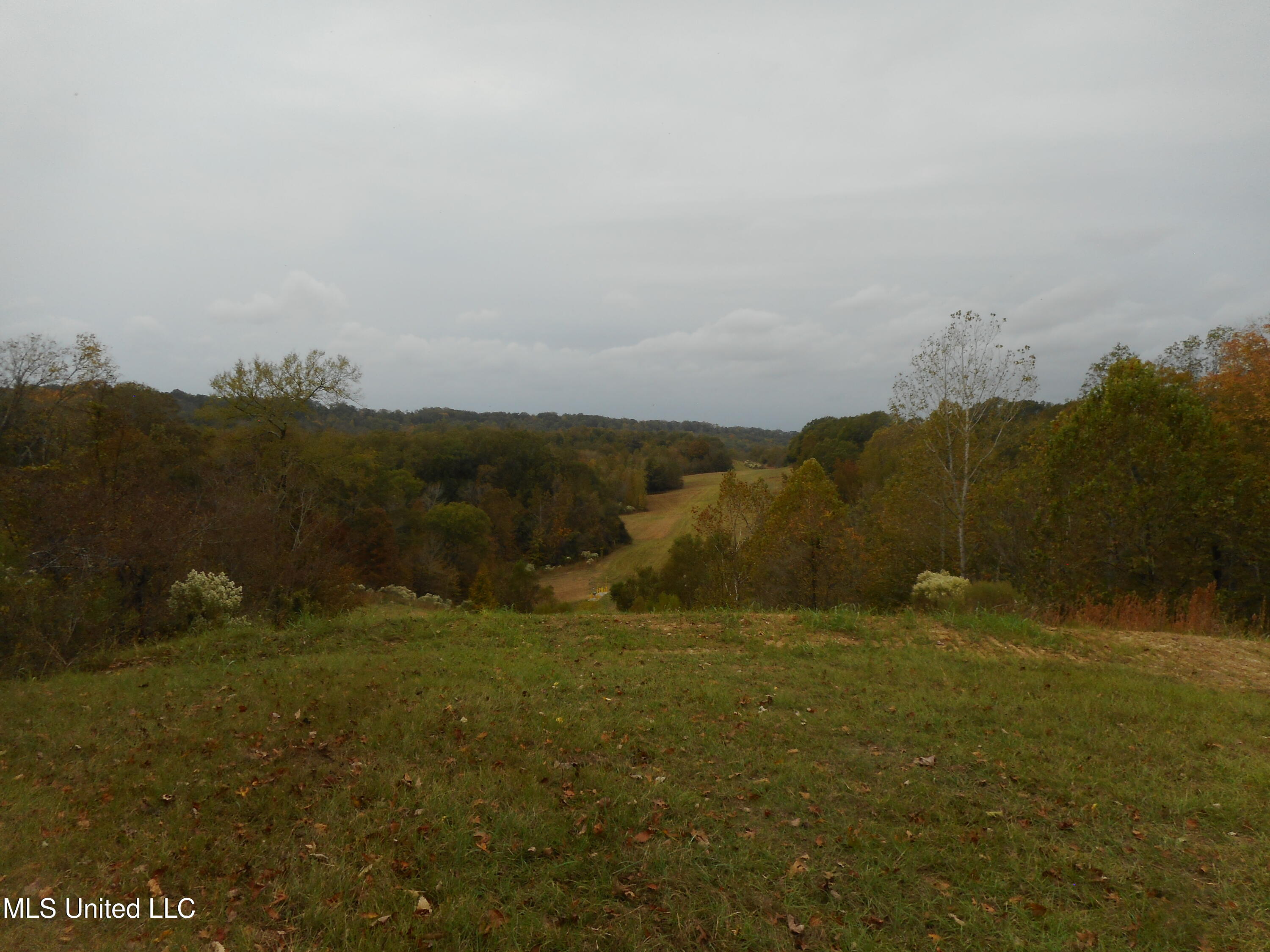 Smith Road, Satartia, Mississippi image 18