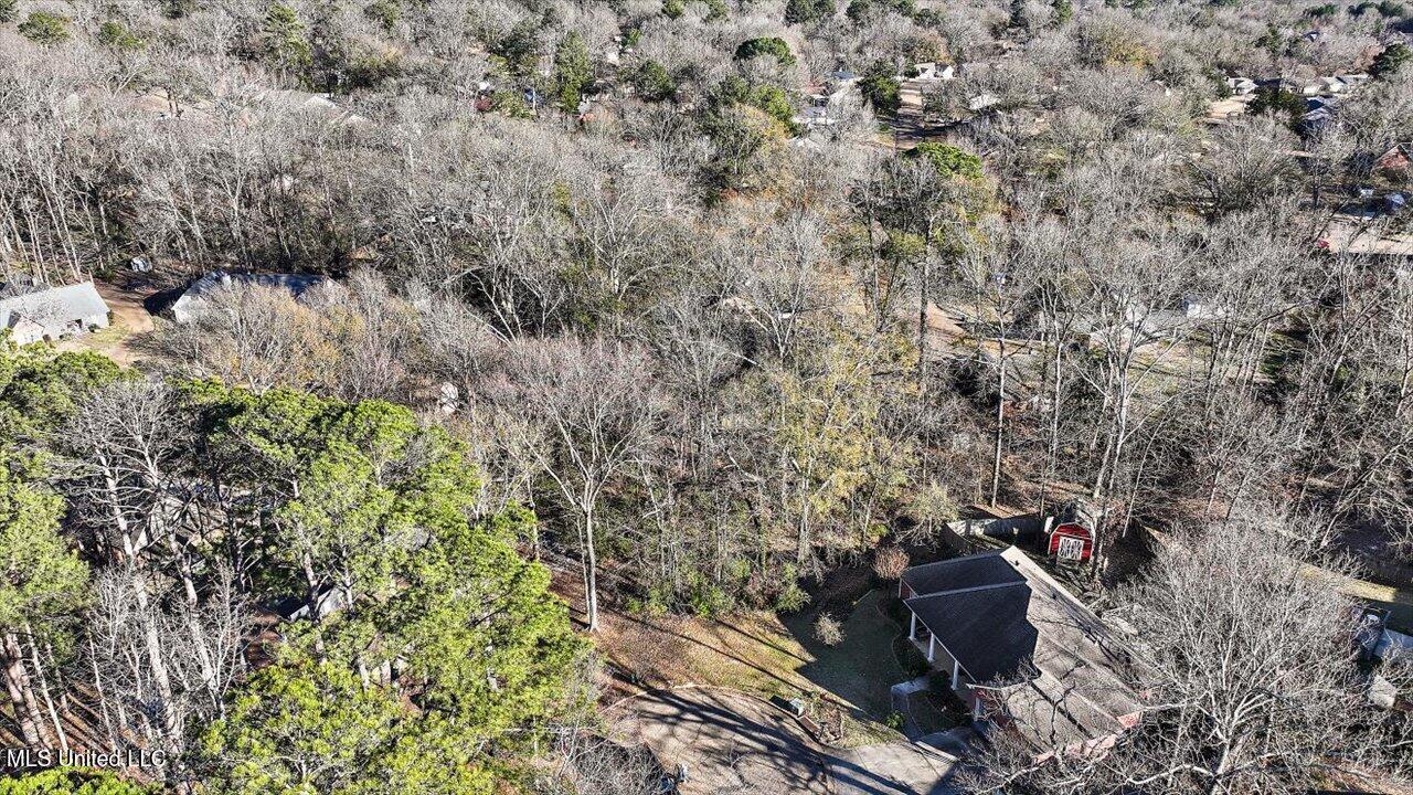 Mauri Cove, Clinton, Mississippi image 6