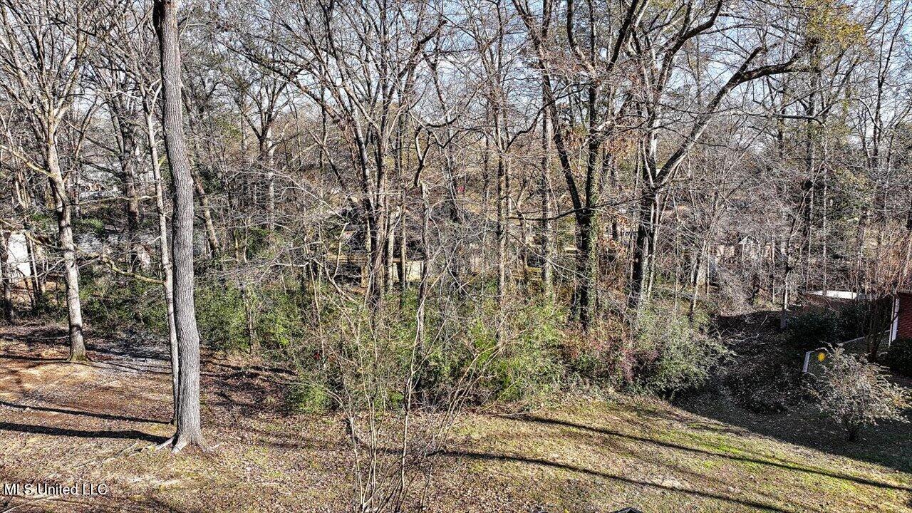 Mauri Cove, Clinton, Mississippi image 4