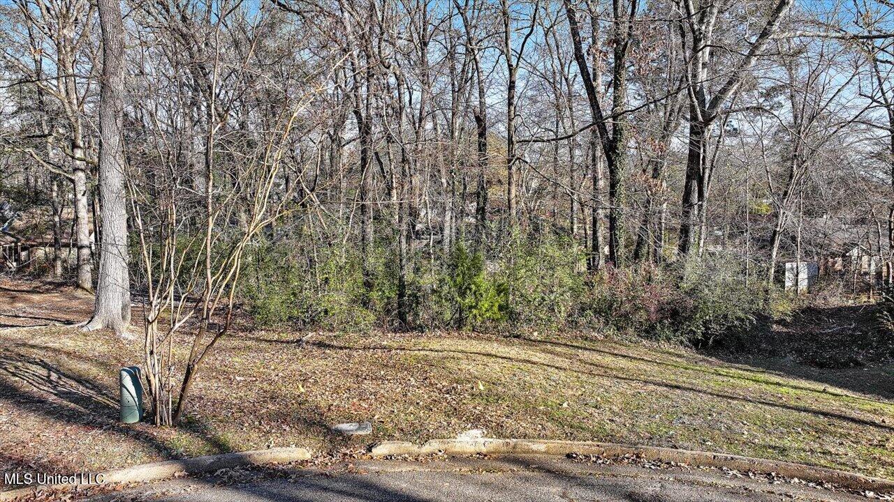 Mauri Cove, Clinton, Mississippi image 1