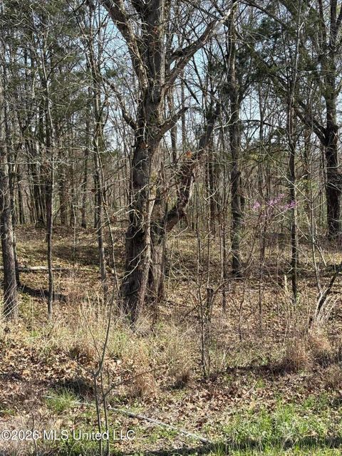 Vacant Land For Sale - Nolan Road<br/> Olive Branch, MS 38654