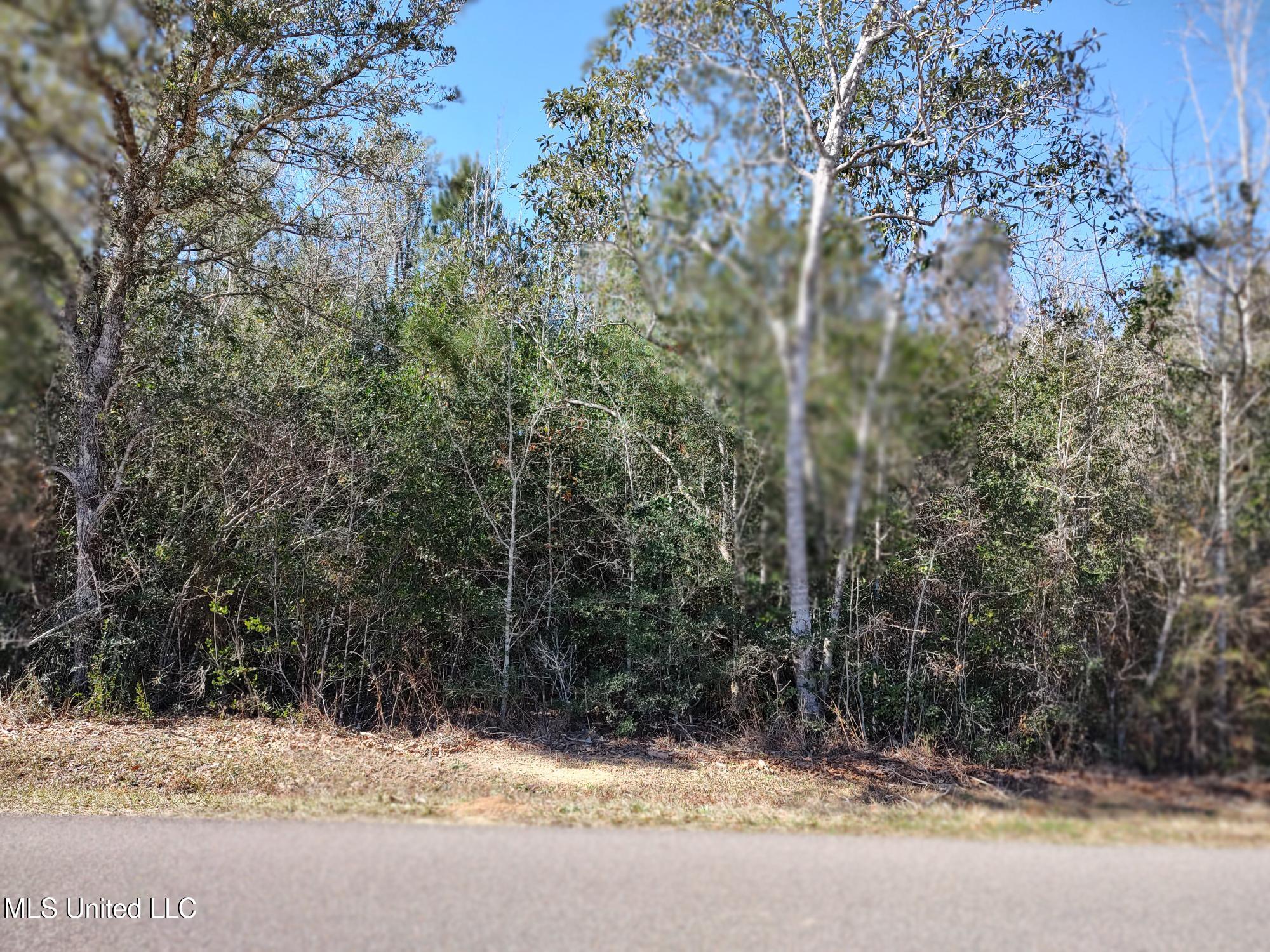 21083 Deerwood Road, Kiln, Mississippi image 8