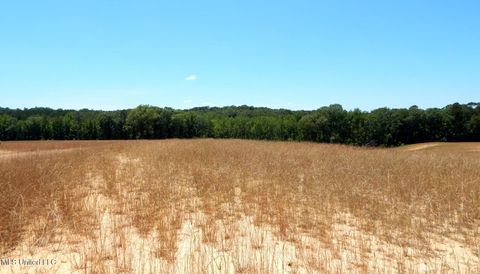 Vacant Land For Sale - 205 Hugh White State Park Road<br/> Grenada, MS 38901
