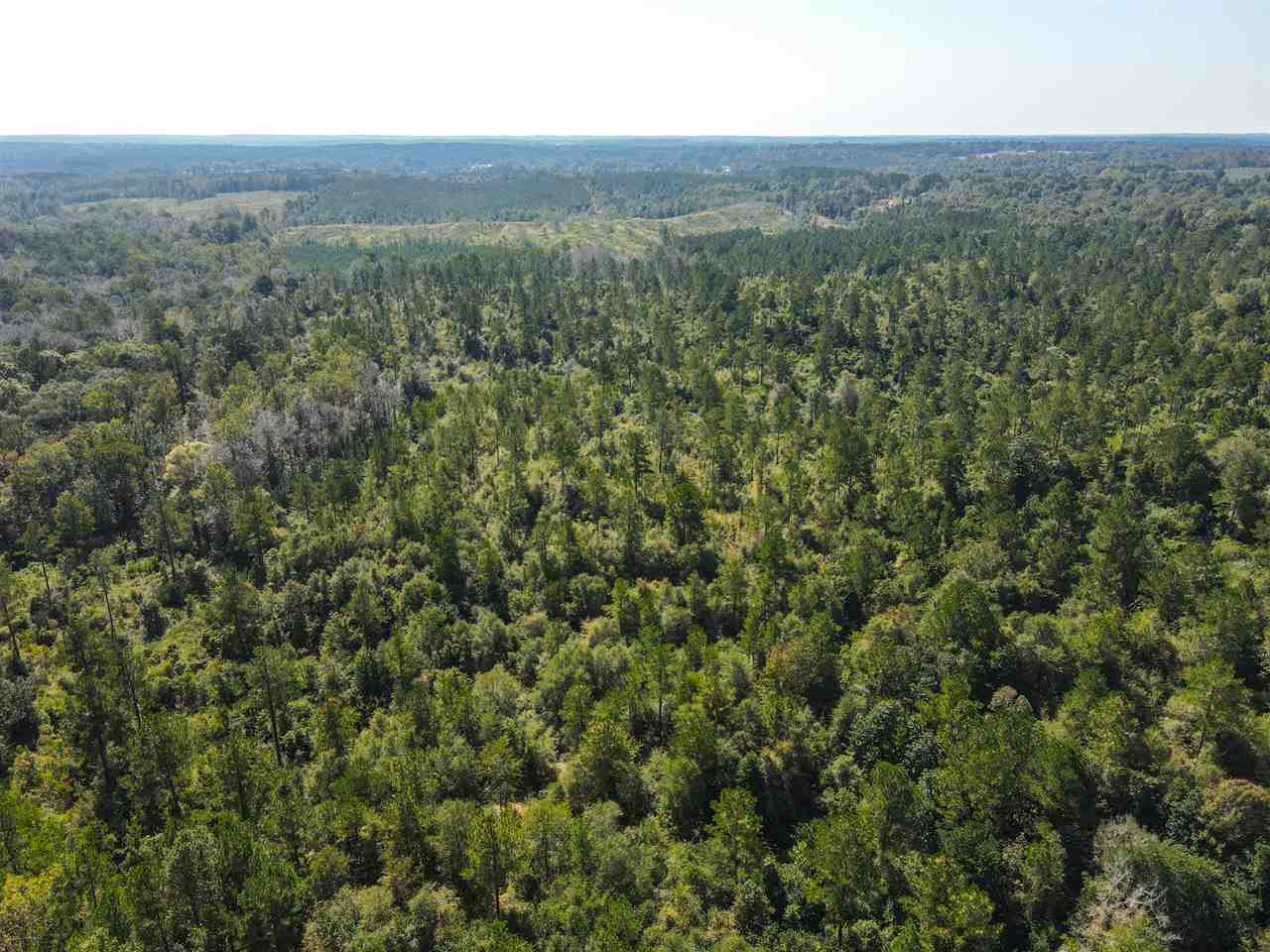 Highway 28, Mize, Mississippi image 7