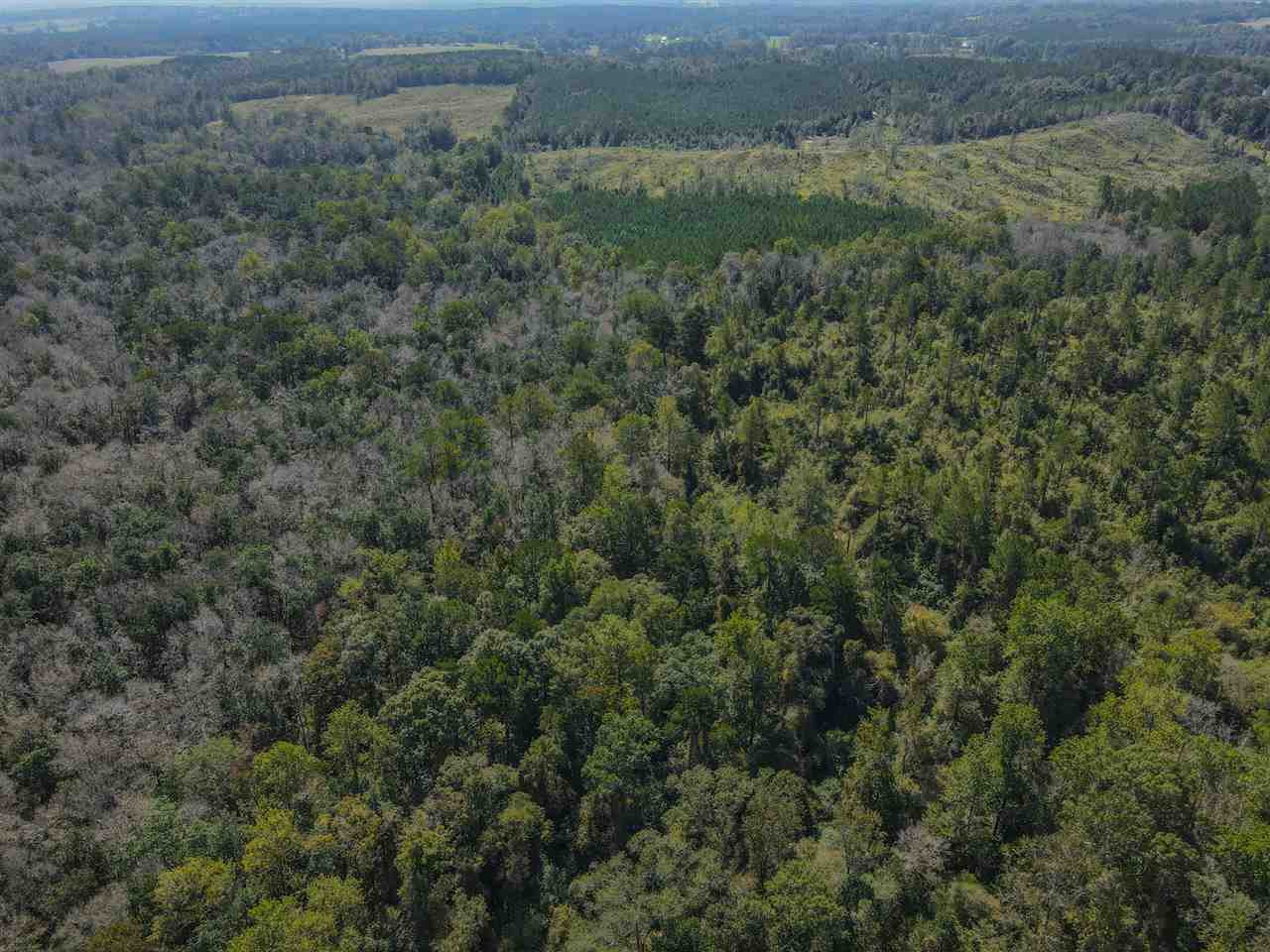 Highway 28, Mize, Mississippi image 15