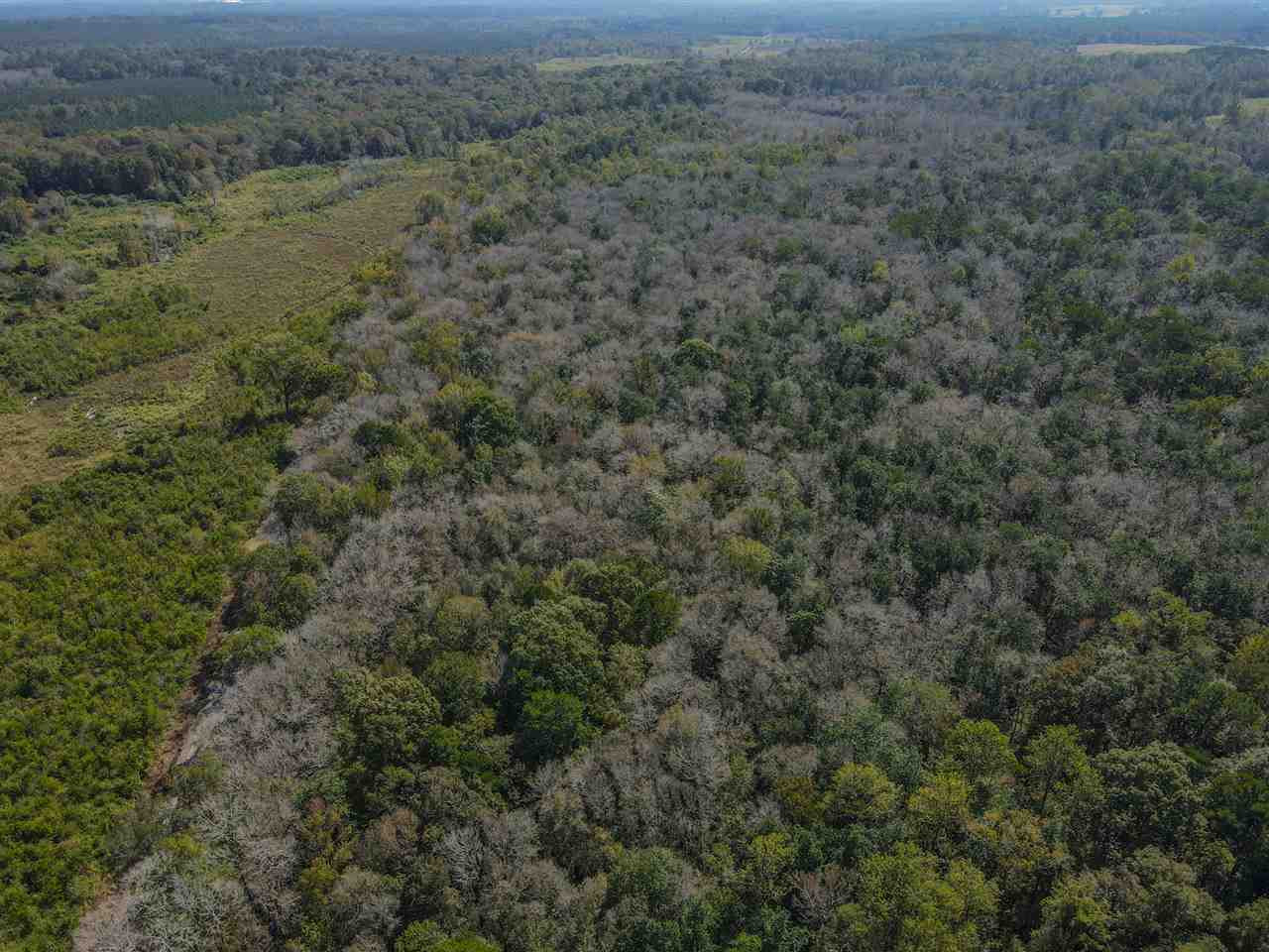 Highway 28, Mize, Mississippi image 16