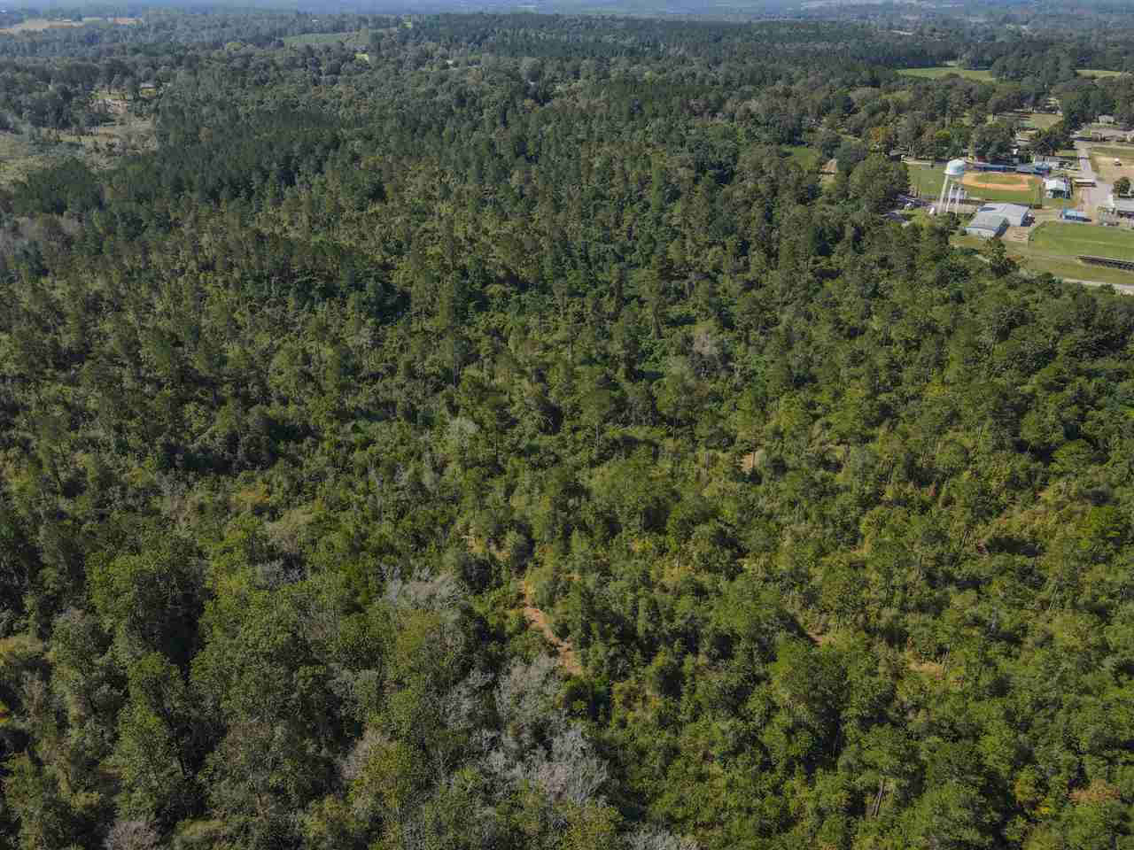 Highway 28, Mize, Mississippi image 17