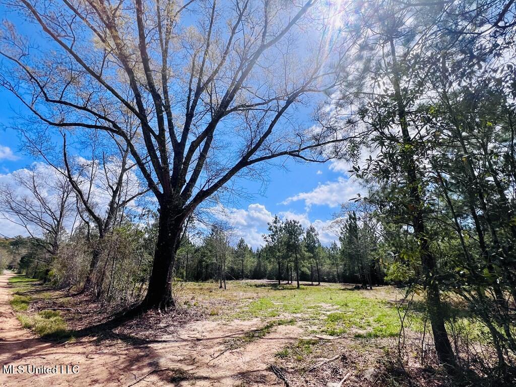 Egg Farm Road, Poplarville, Mississippi image 4
