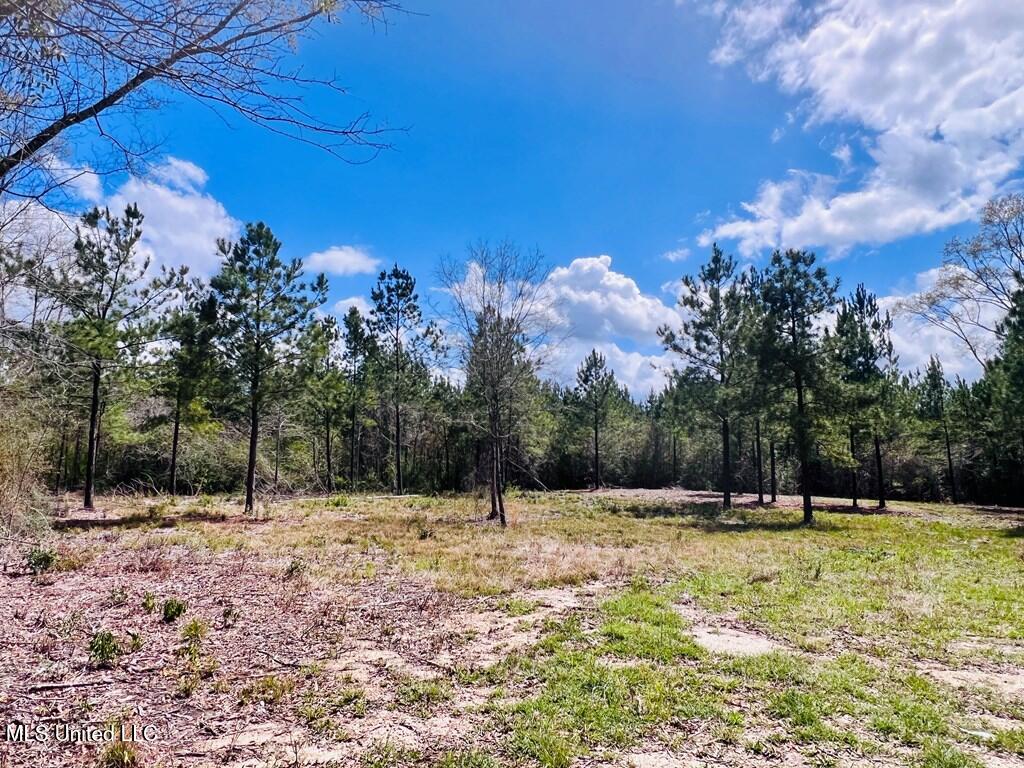 Egg Farm Road, Poplarville, Mississippi image 2