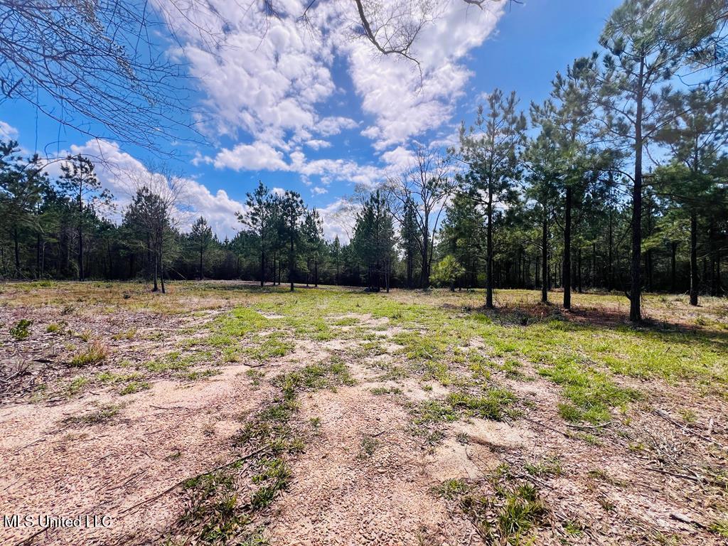 Egg Farm Road, Poplarville, Mississippi image 3