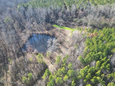 Vacant Land For Sale - 9307A Ms 28<br/> Jefferson County, Fayette, MS 39069