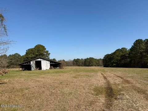 Vacant Land For Sale - Water Tank Road<br/> Sandy Hook, MS 39478