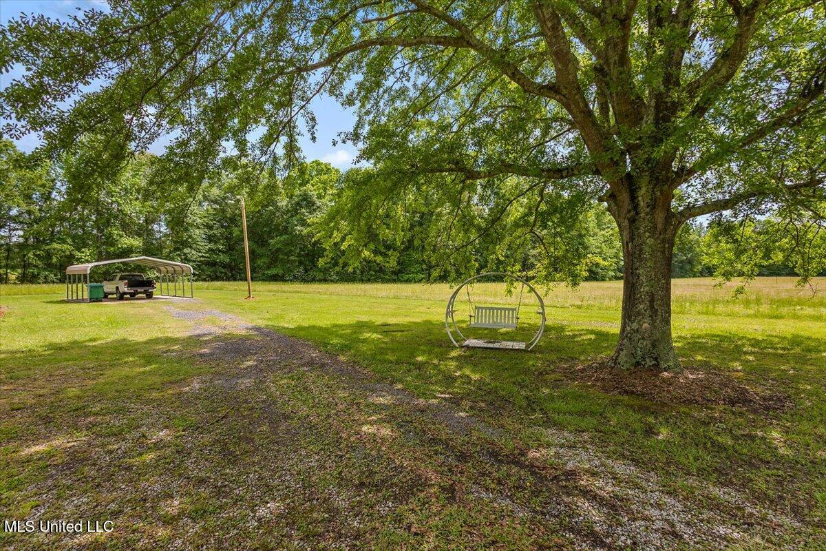 2450 Ms-16, Carthage, Mississippi image 4
