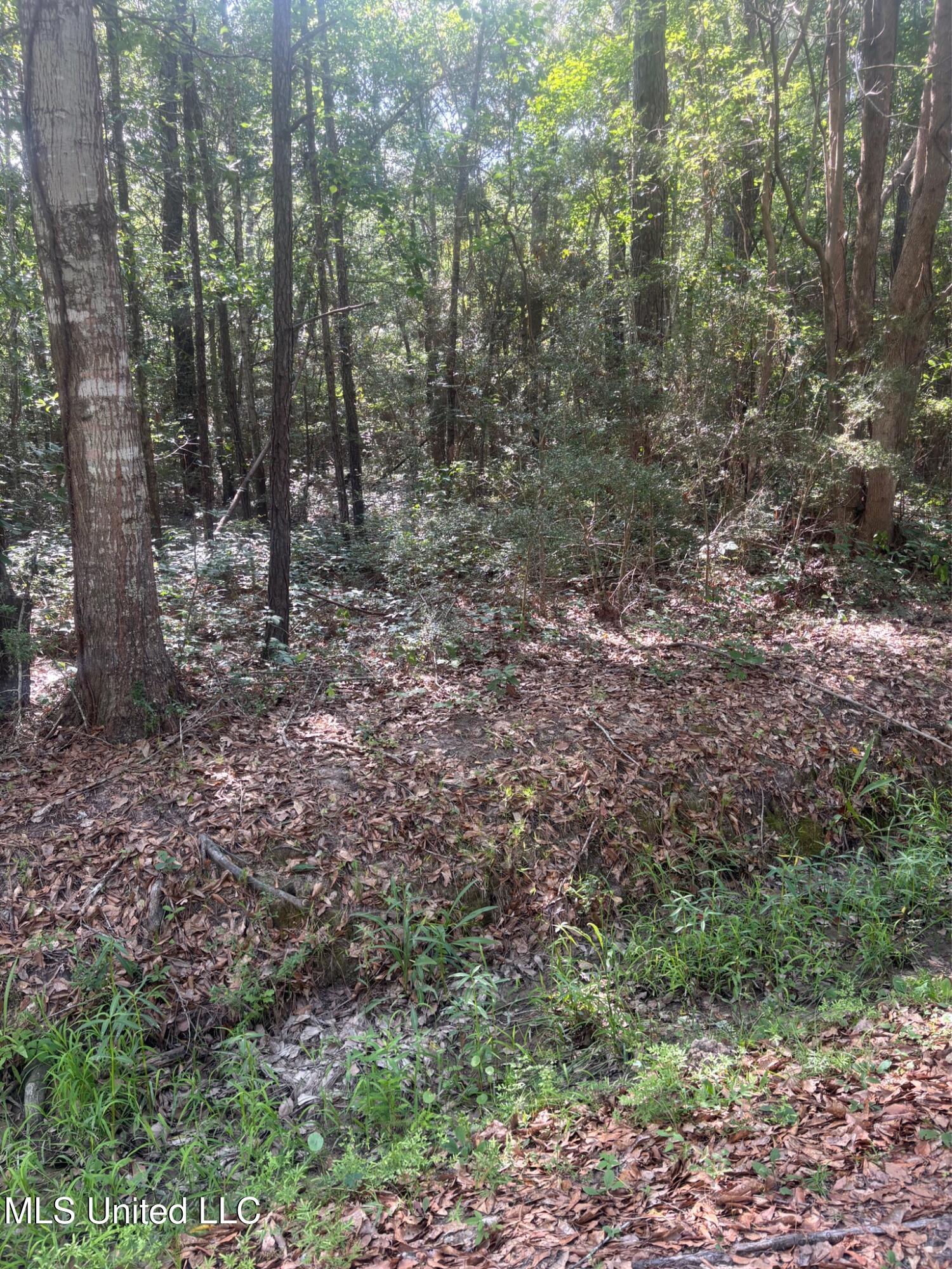 Cantania/ridge Road, Bay Saint Louis, Mississippi image 1