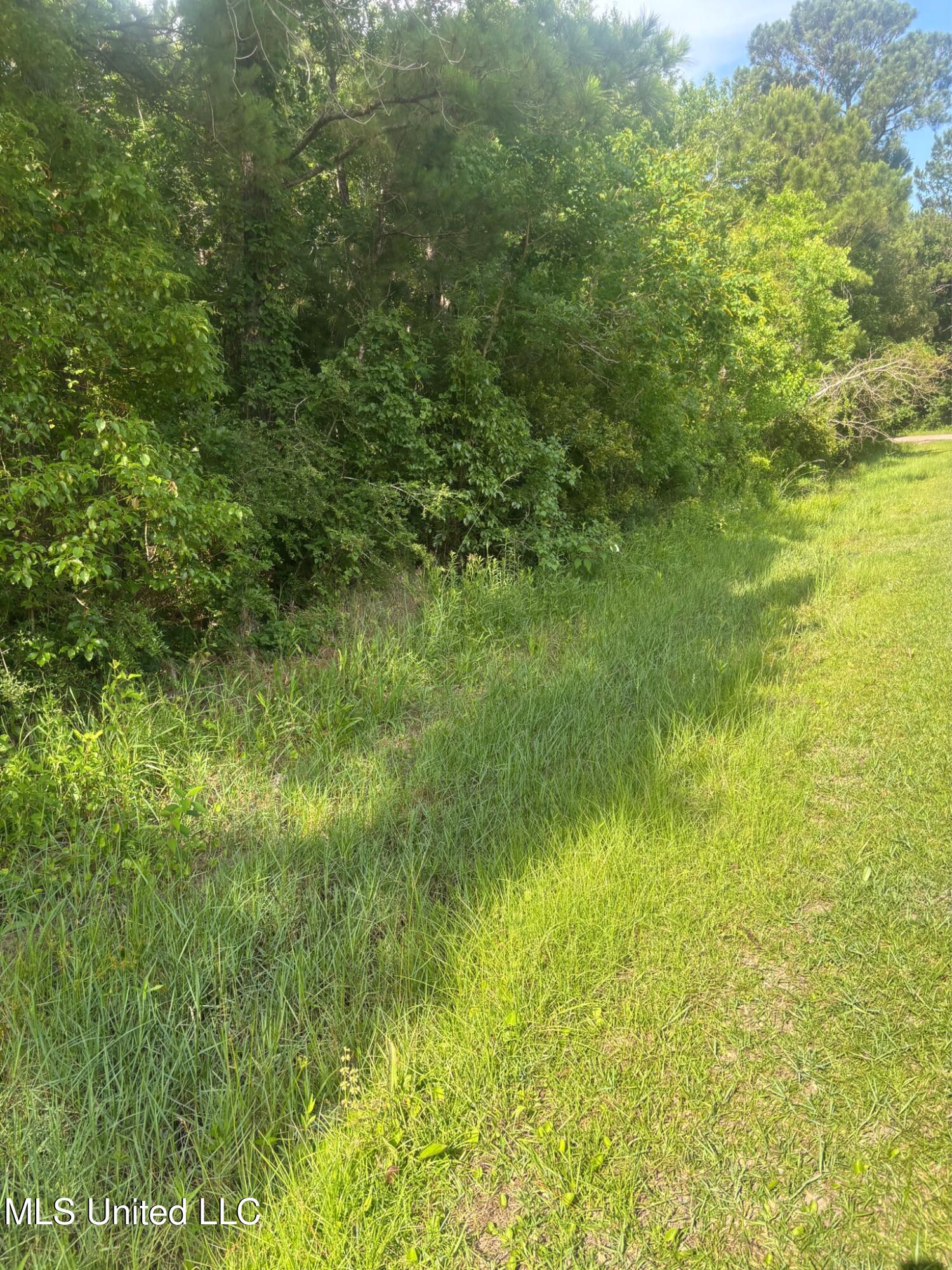 Cantania/ridge Road, Bay Saint Louis, Mississippi image 2