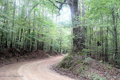 Vacant Land For Sale - John Chambers Road<br/> Franklin County, Roxie, MS 39661