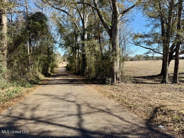 Silver Drive, Tylertown, Mississippi image 6