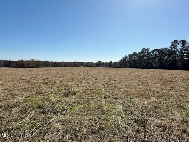 Silver Drive, Tylertown, Mississippi image 10