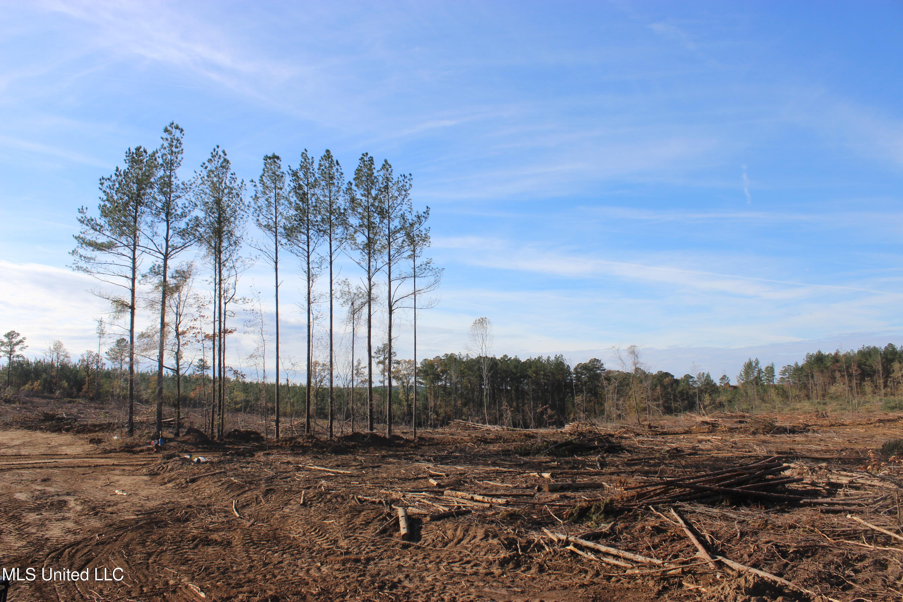 Firetower Road Road, Camden, Mississippi image 1