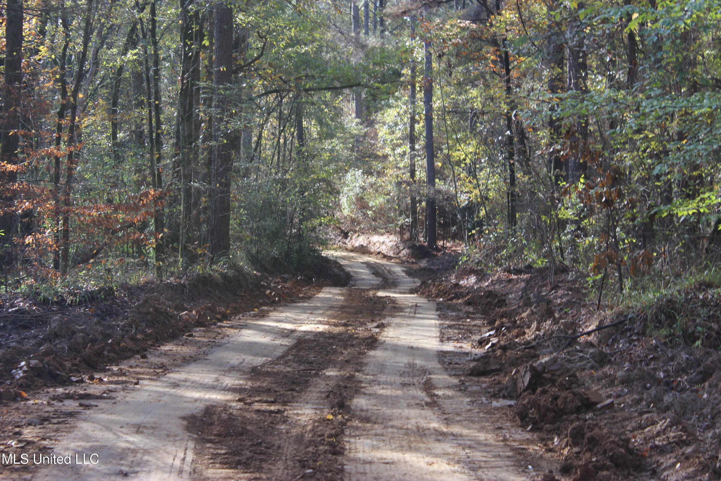 Firetower Road Road, Camden, Mississippi image 12