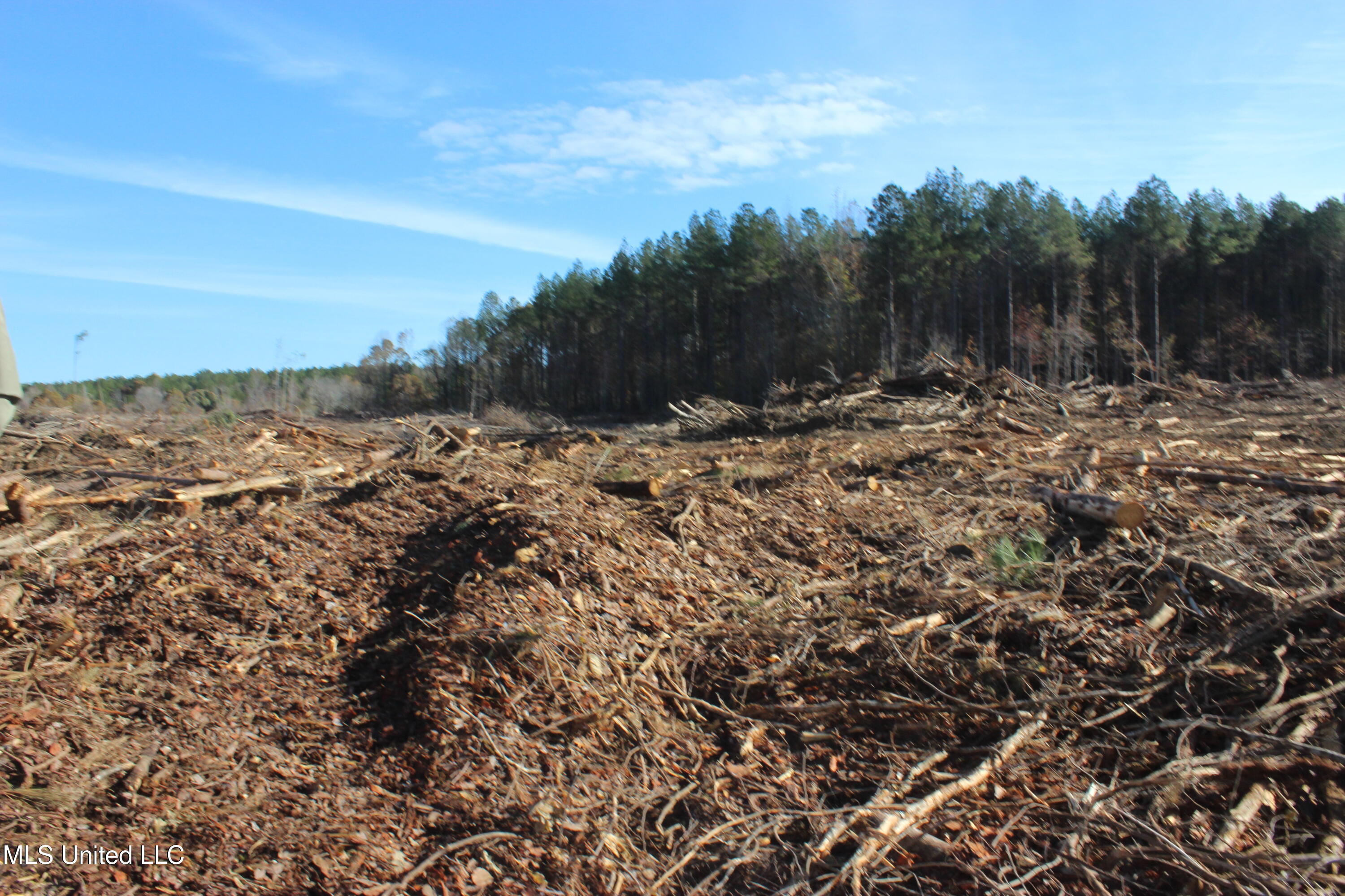 Firetower Road Road, Camden, Mississippi image 9