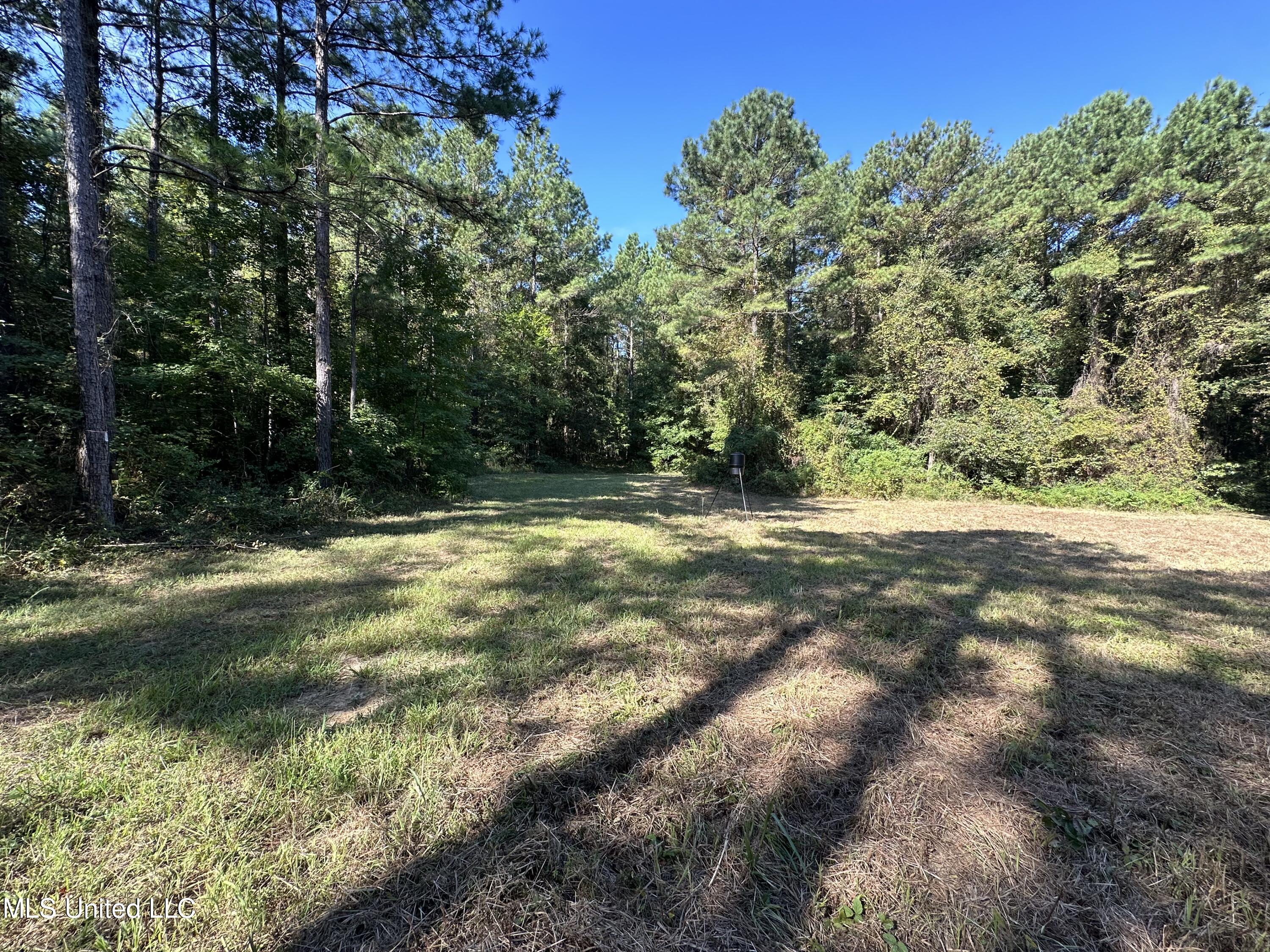 Firetower Road Road, Camden, Mississippi image 5