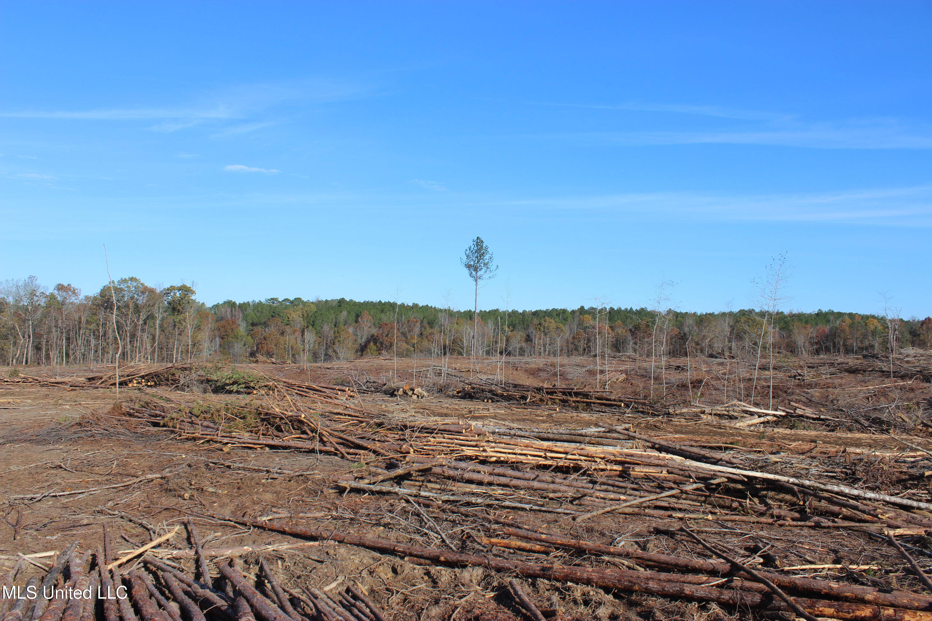 Firetower Road Road, Camden, Mississippi image 3