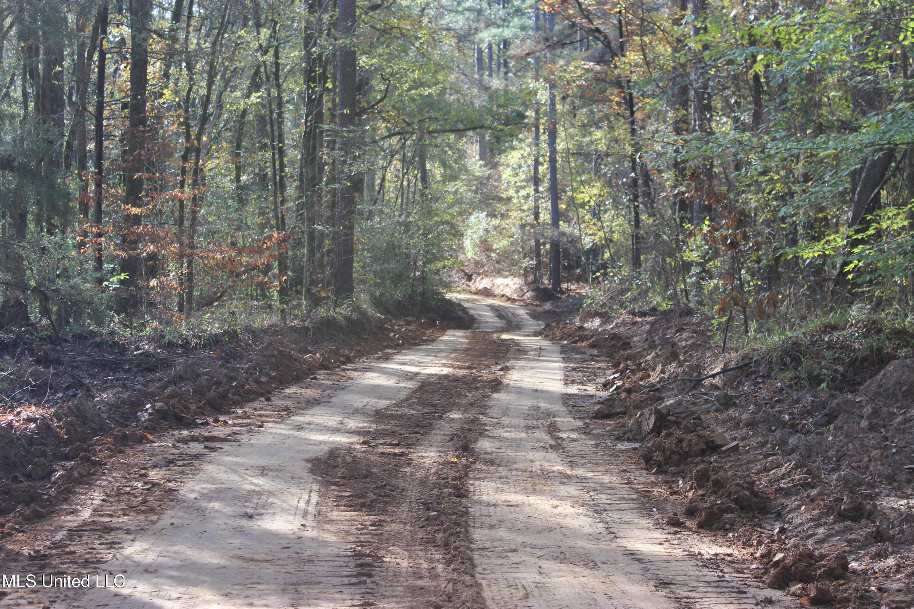 Firetower Road Road, Camden, Mississippi image 11