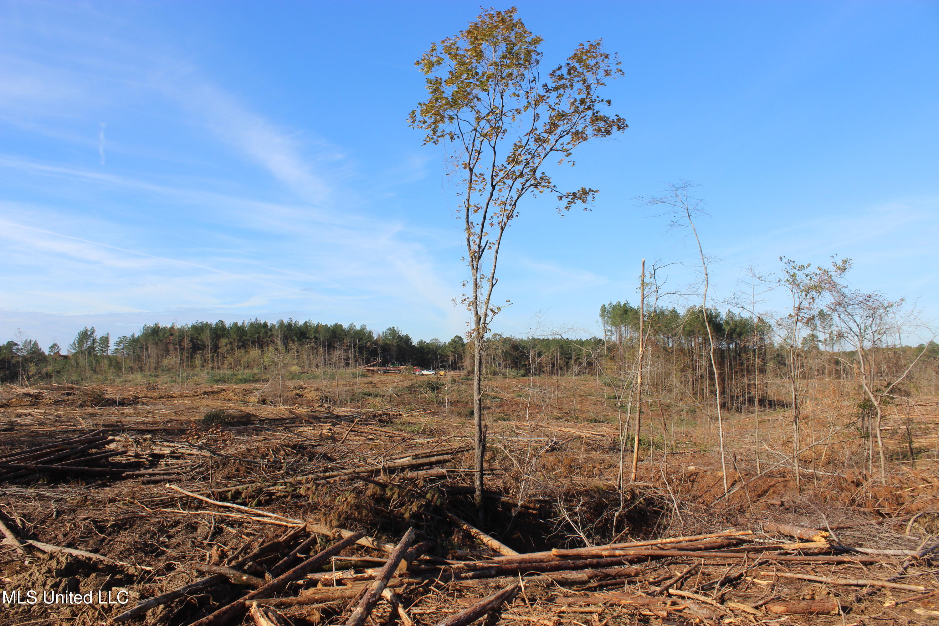 Firetower Road Road, Camden, Mississippi image 6