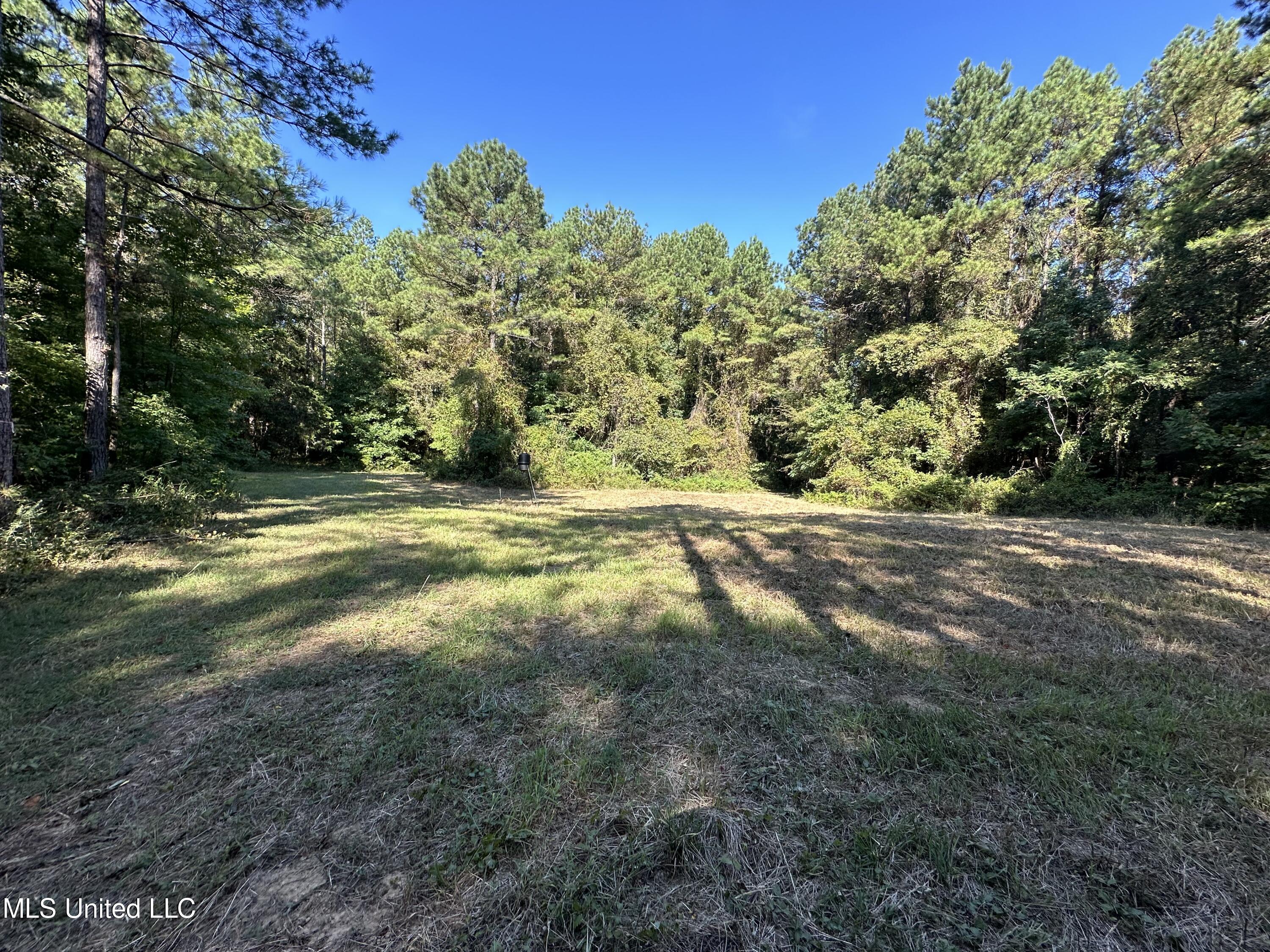 Firetower Road Road, Camden, Mississippi image 3