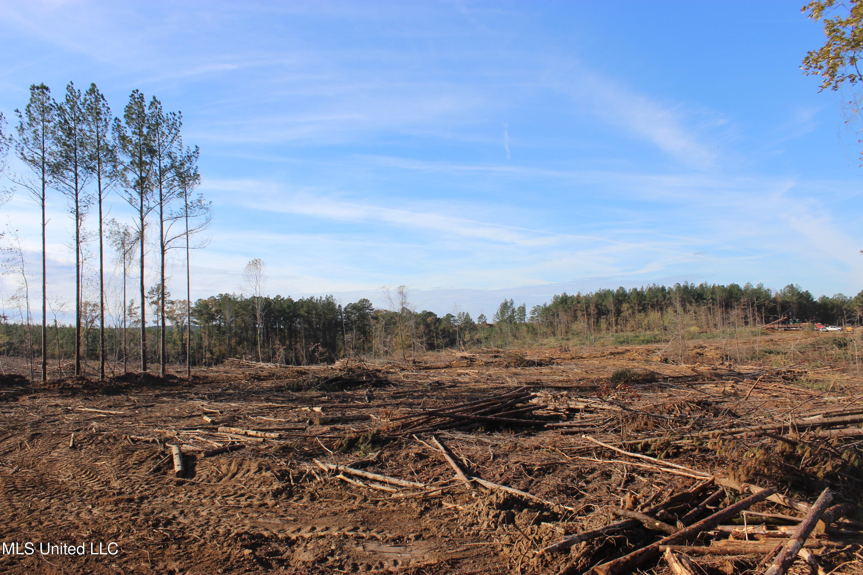 Firetower Road Road, Camden, Mississippi image 7