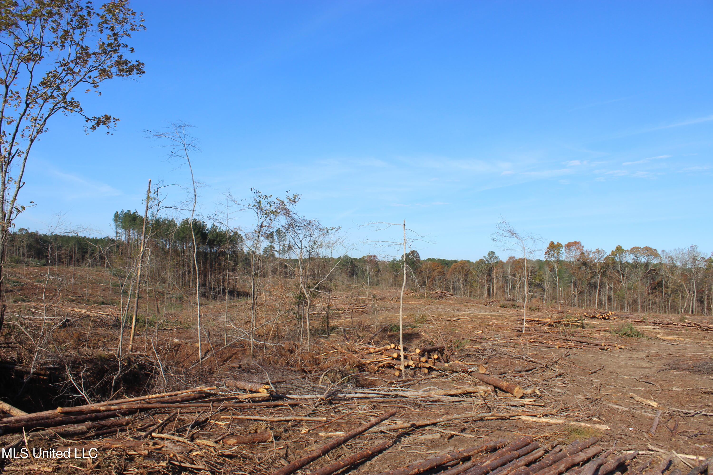 Firetower Road Road, Camden, Mississippi image 5