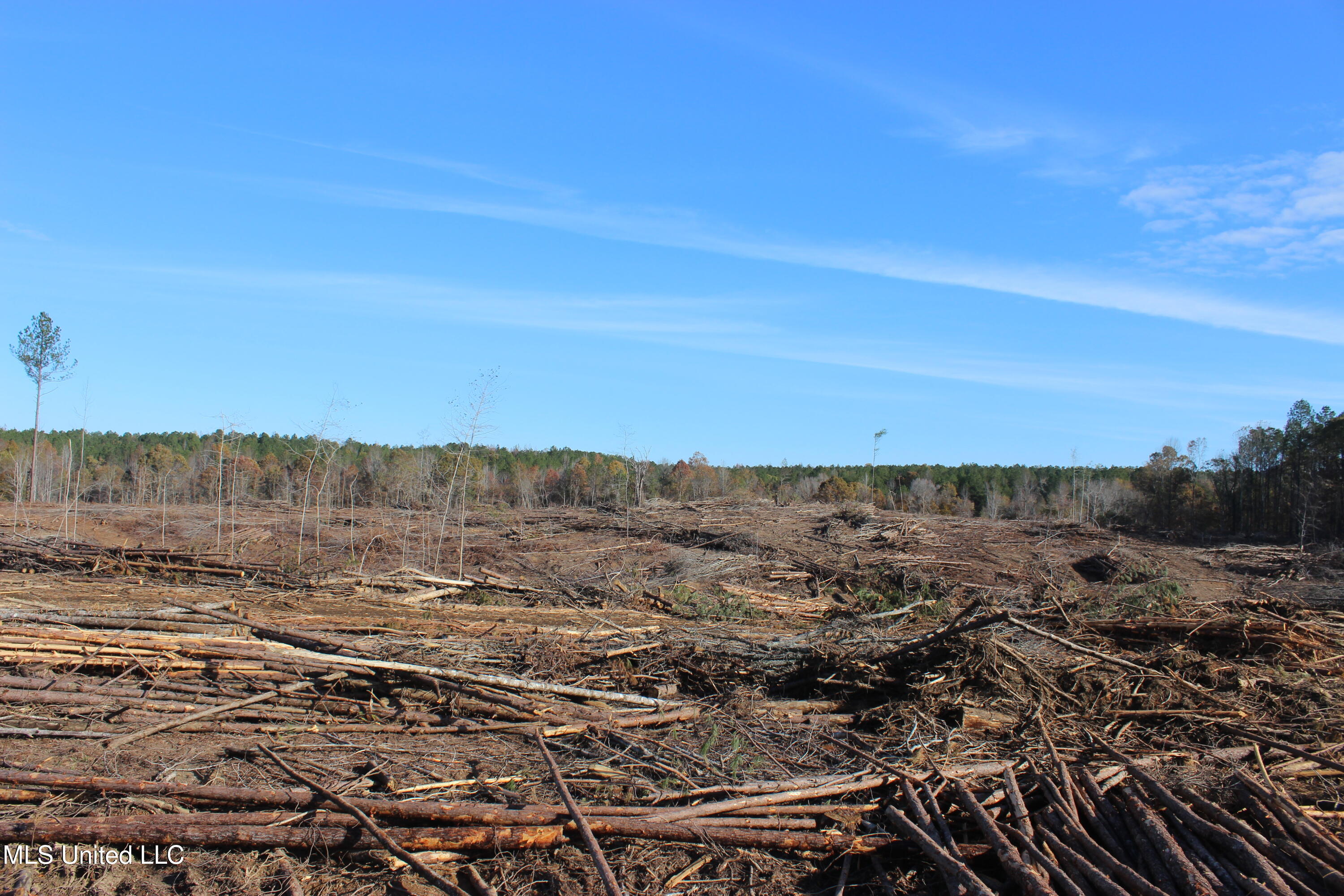 Firetower Road Road, Camden, Mississippi image 8