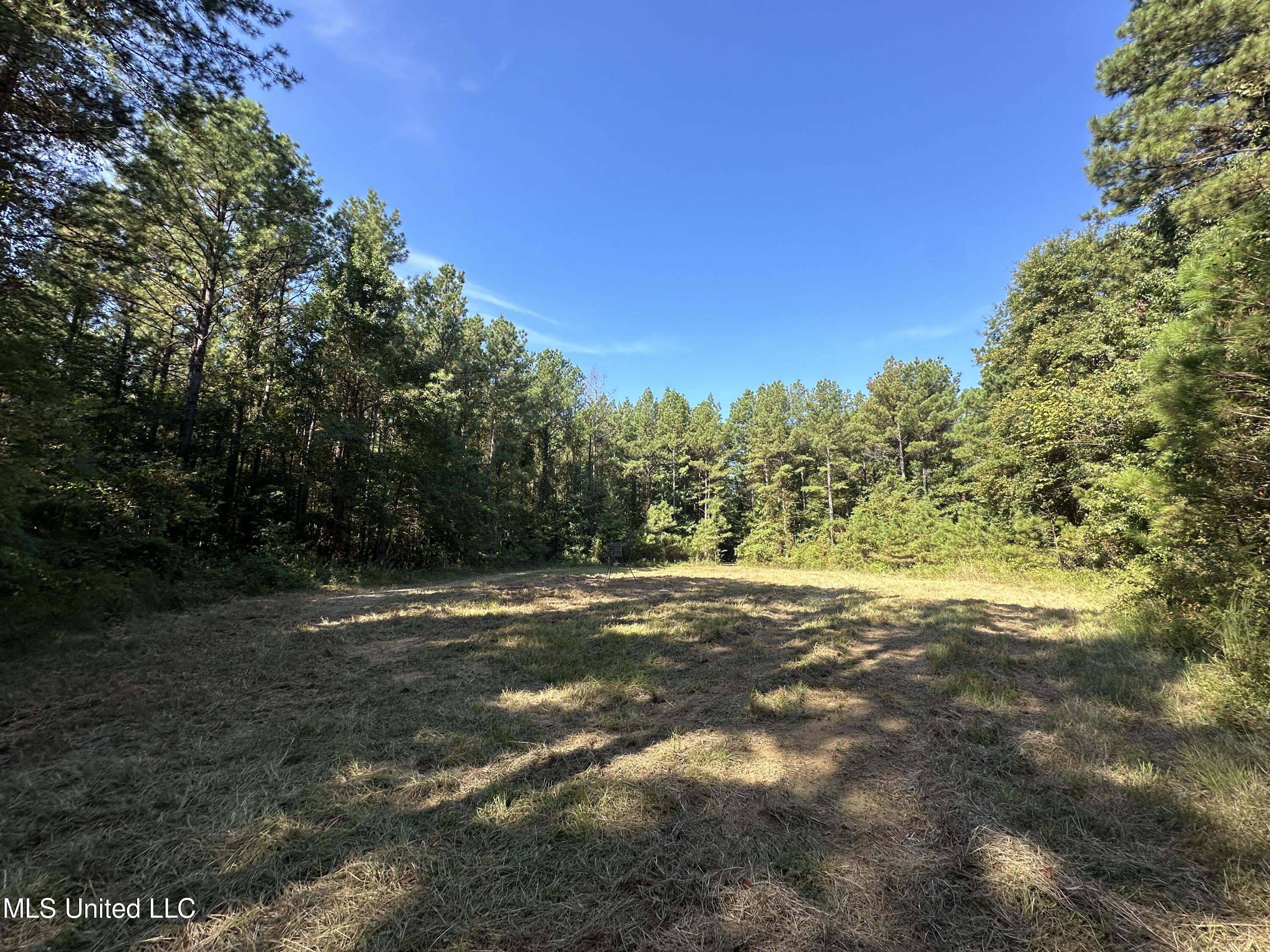 Firetower Road Road, Camden, Mississippi image 8