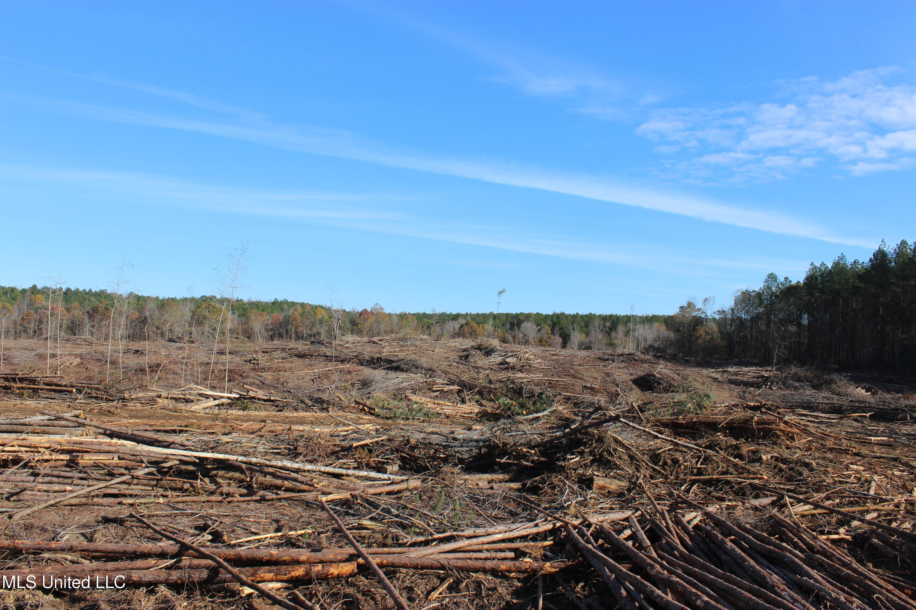 Firetower Road Road, Camden, Mississippi image 2