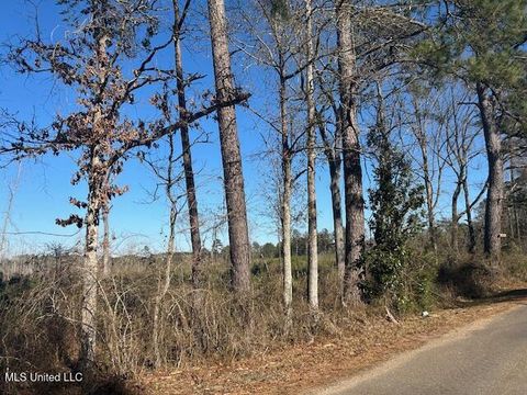 Vacant Land For Sale - Robert Jones Road<br/> Summit, MS 39666