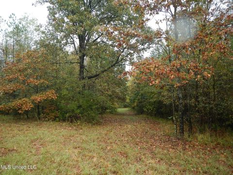 Vacant Land For Sale - 6977 Holly Grove-meeks Road<br/> Cruger, MS 38924