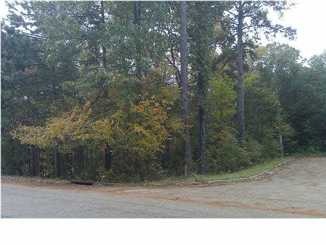 Watersview Street #LOT 24, Jackson, Mississippi image 1