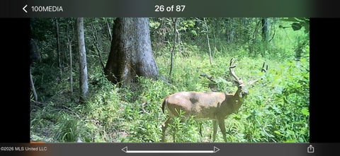 Vacant Land For Sale - 2490 S Shady Grove Road<br/> Holmes County, Goodman, MS 39079
