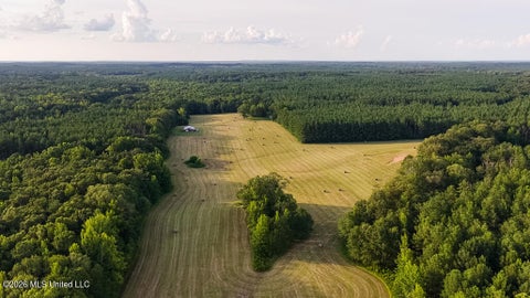 Vacant Land For Sale - 214 Cook Cobb Road<br/> Madison County, Camden, MS 39045