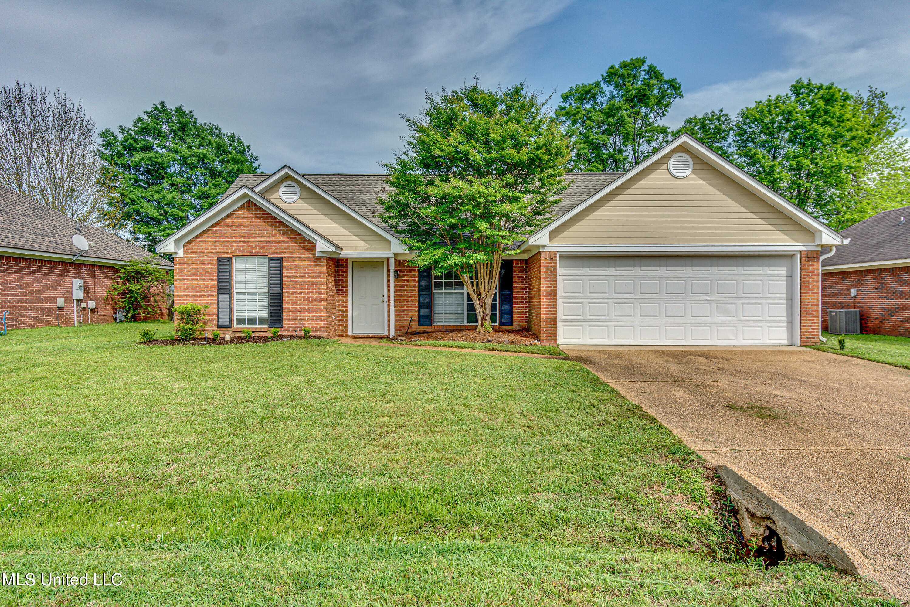 220 Cherry Bark Drive, Brandon, Mississippi image 1